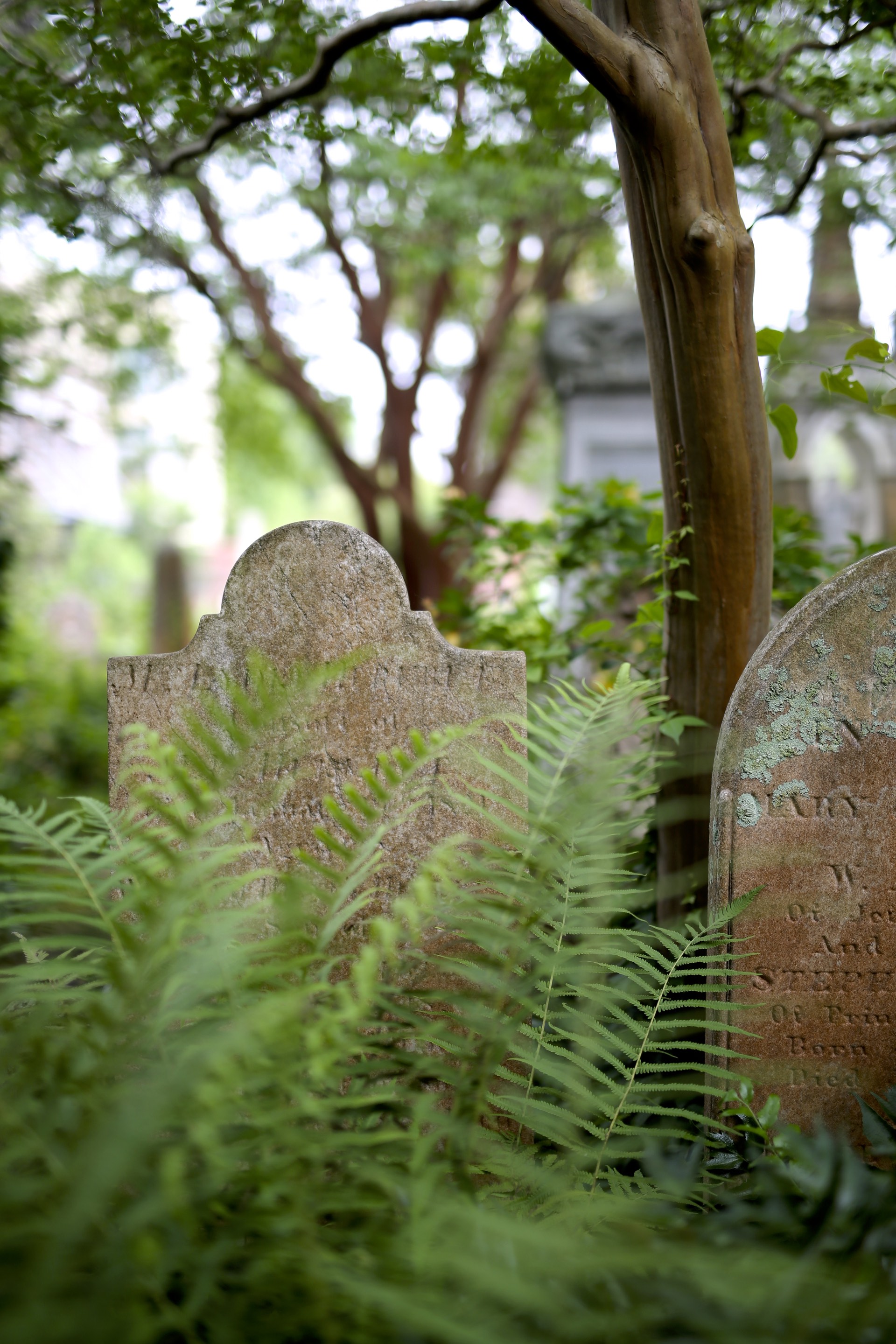 Beautiful Graveyard in Charleston