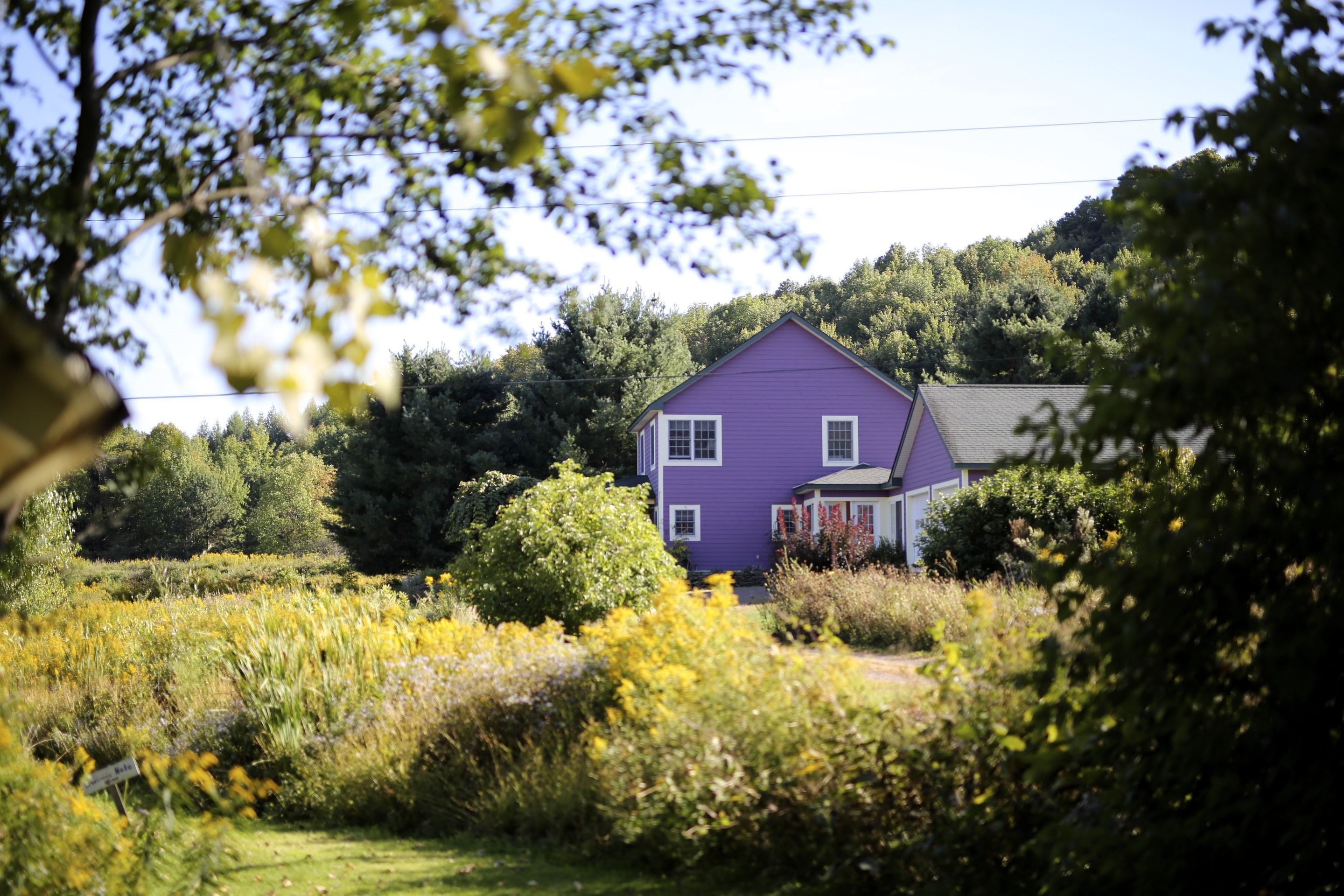 purple house in country setting