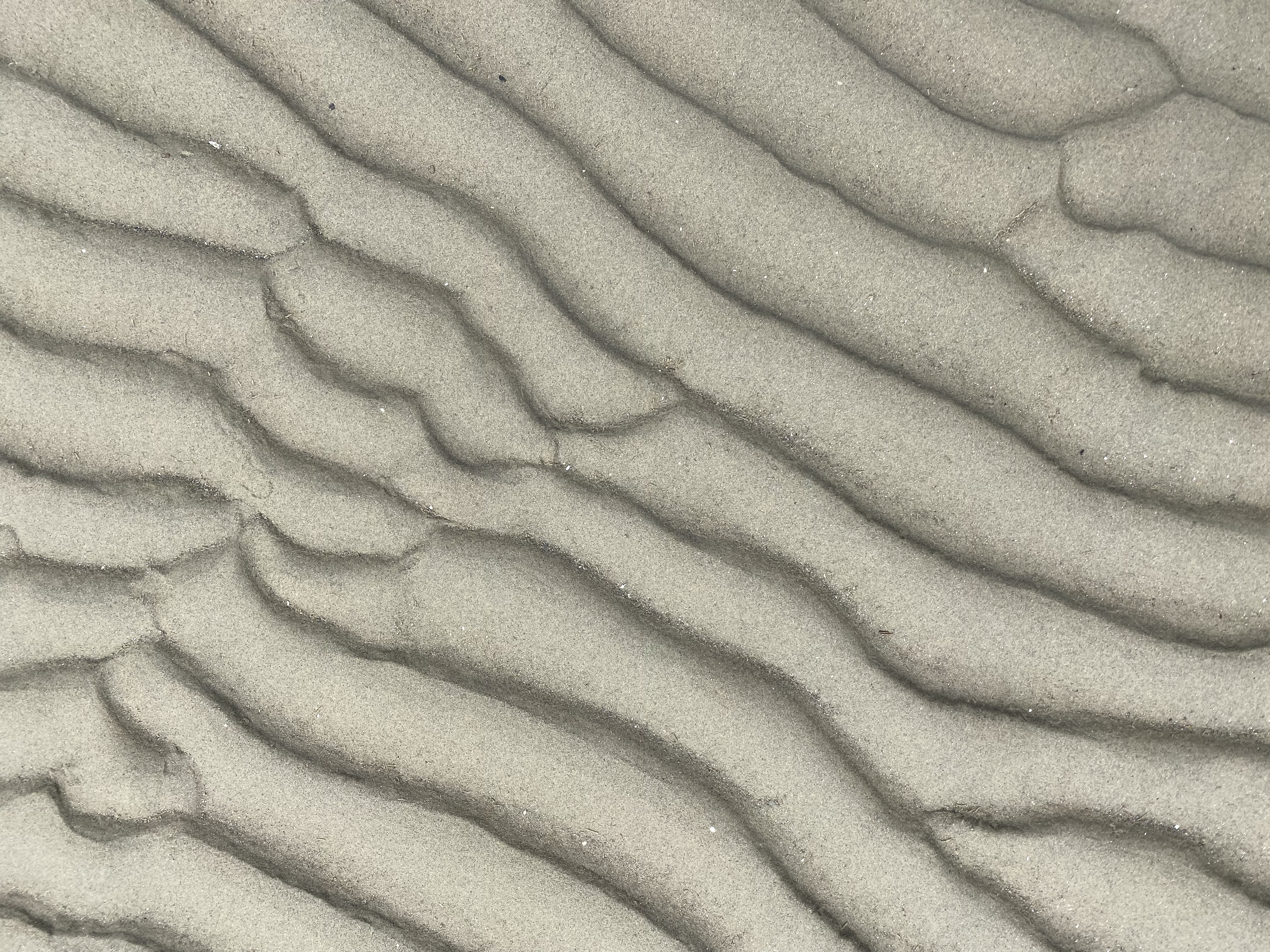 ridges in the sand