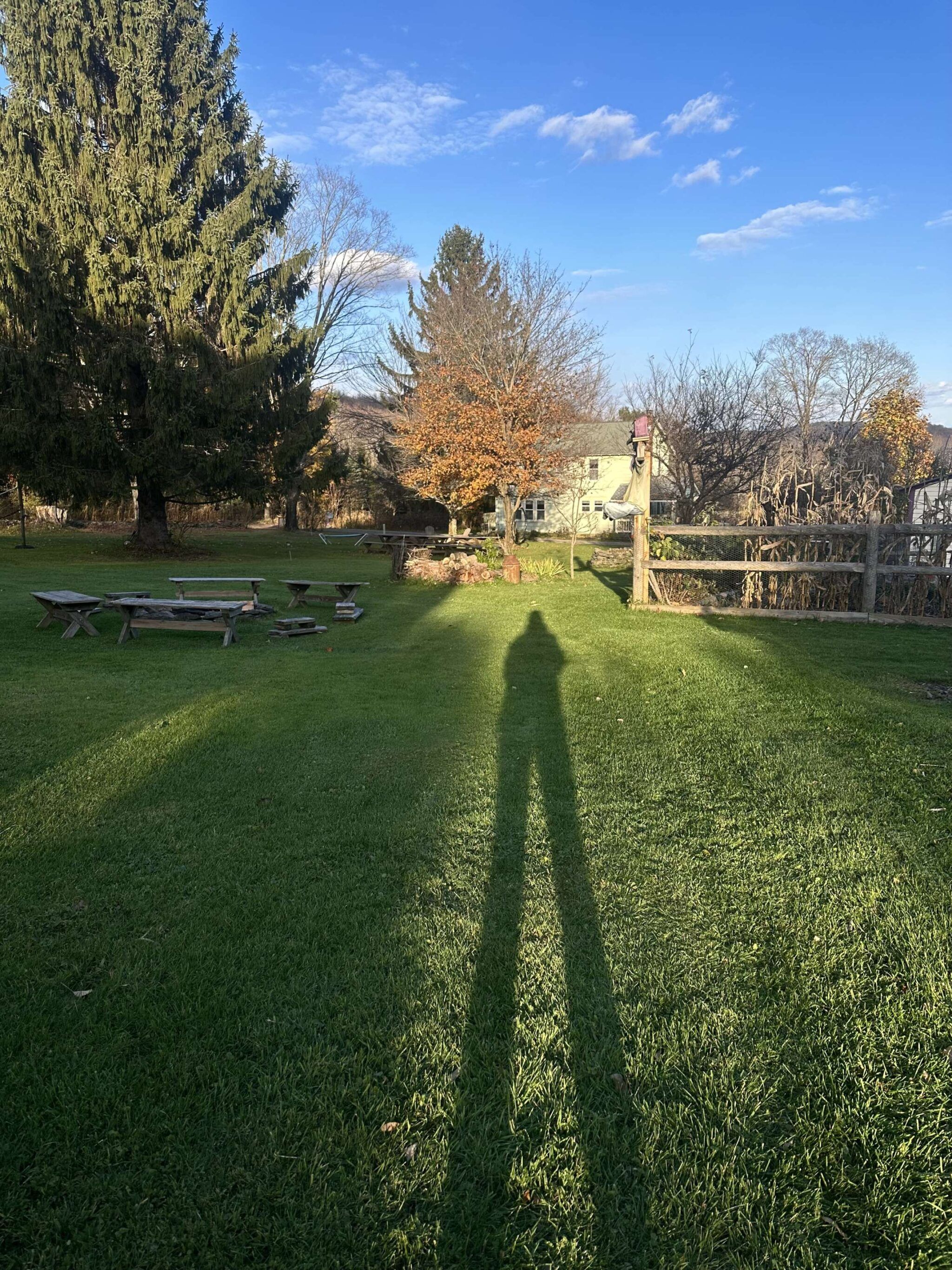 shadow of person standing on grass in fall with trees and blue sky and a small house in the background