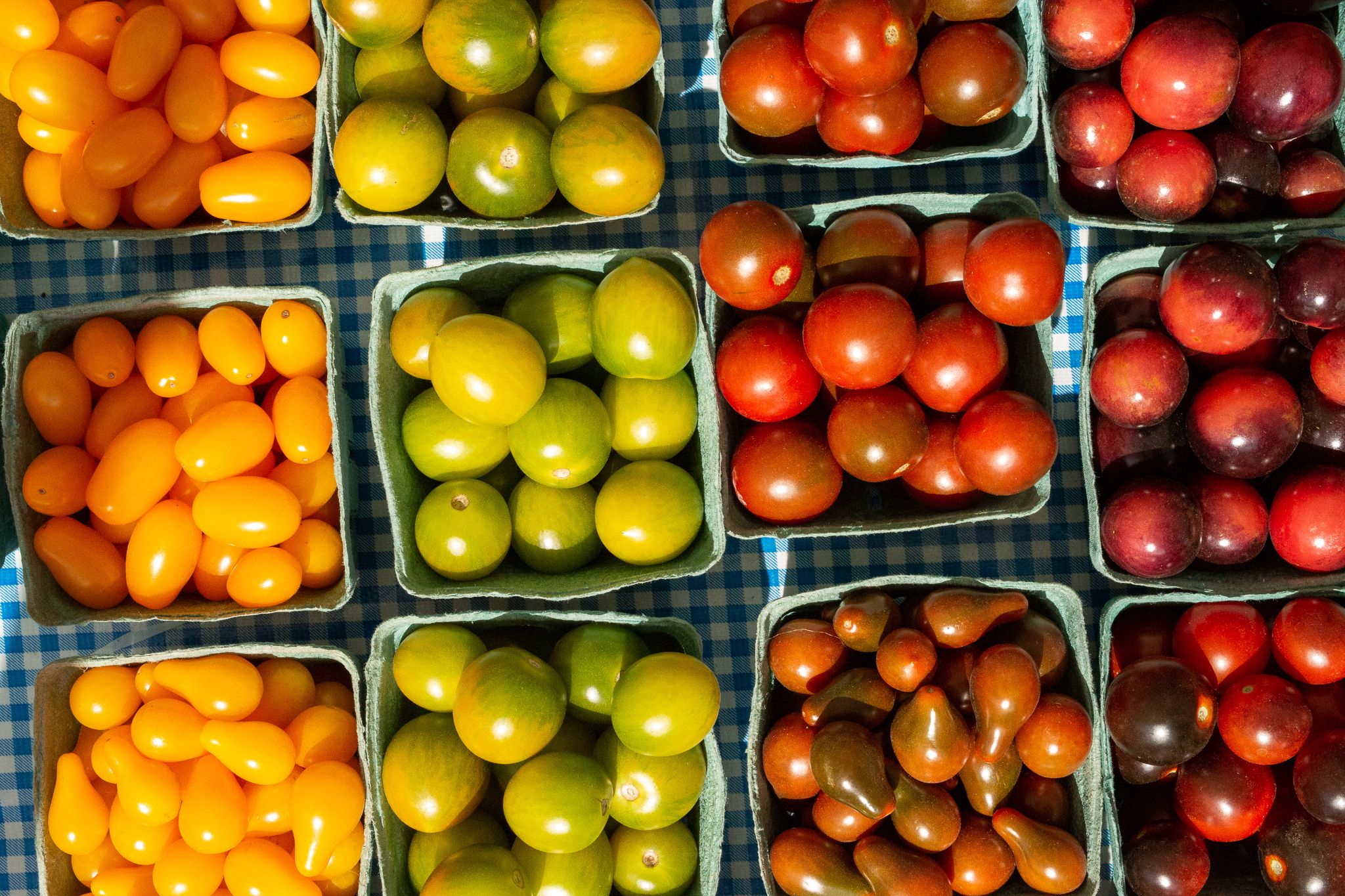 multi-colored cherry tomatoes in blue paper containers