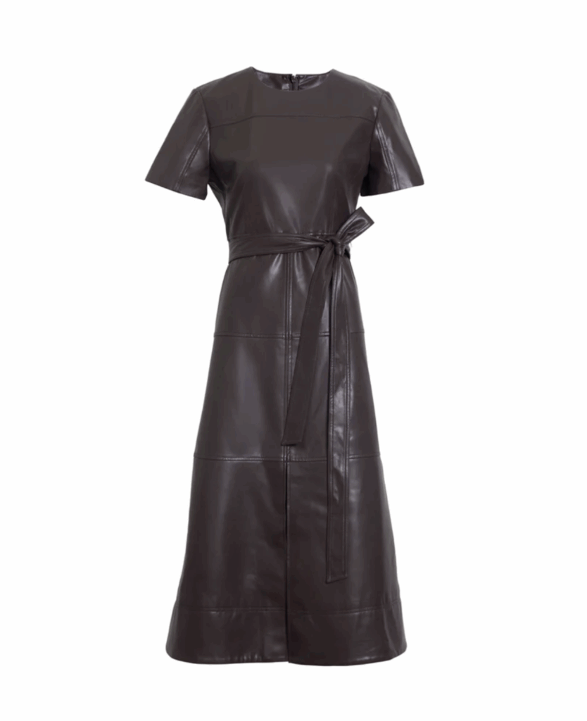 Vegan Leather Dress in Oxblood