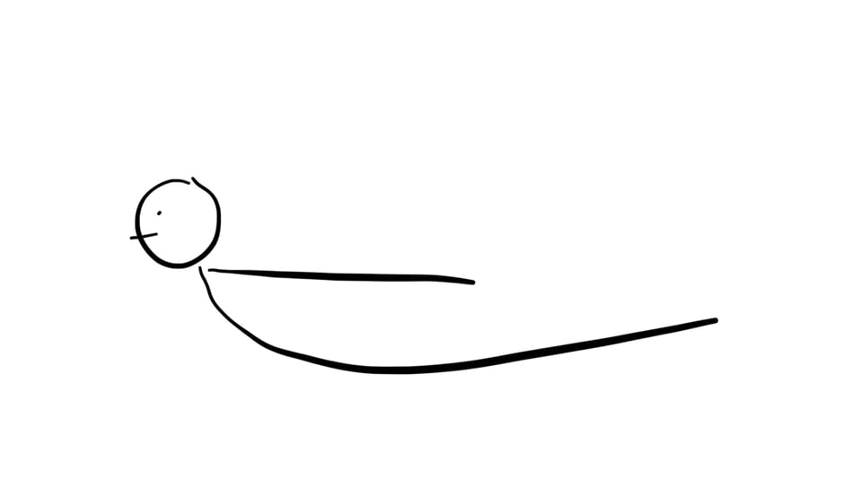Lower Back Stability + Mobility