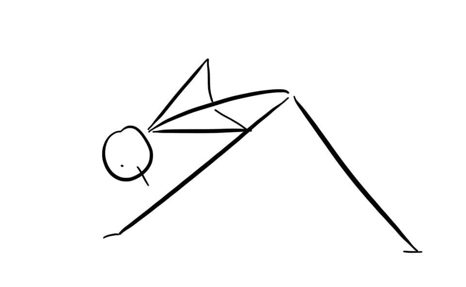 Arms, Elbows, and Wrists into Parsvottanasana